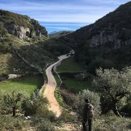 Veiga