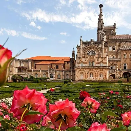 Veiga * Coimbra